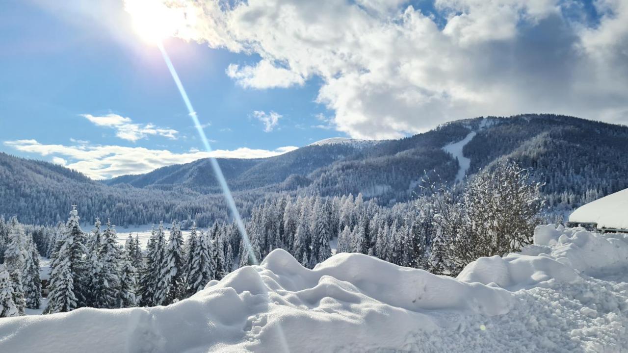 Almhuette Sunset - Flattnitz 1510M Villa Buitenkant foto